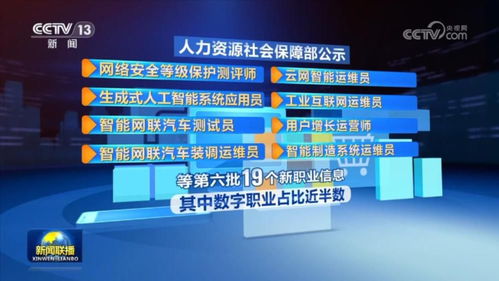 新賽道開辟就業(yè)新空間 社會(huì)經(jīng)濟(jì)咨詢服務(wù)的崛起與未來